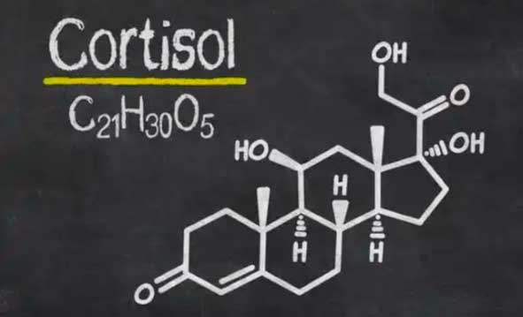 duele-el-estres-cortisol